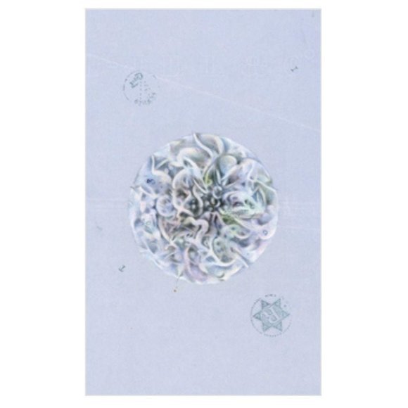 The Archeo: Personal 40 Archetype Cards Oracle Deck By Nick Bantock - Picture 7 of 7